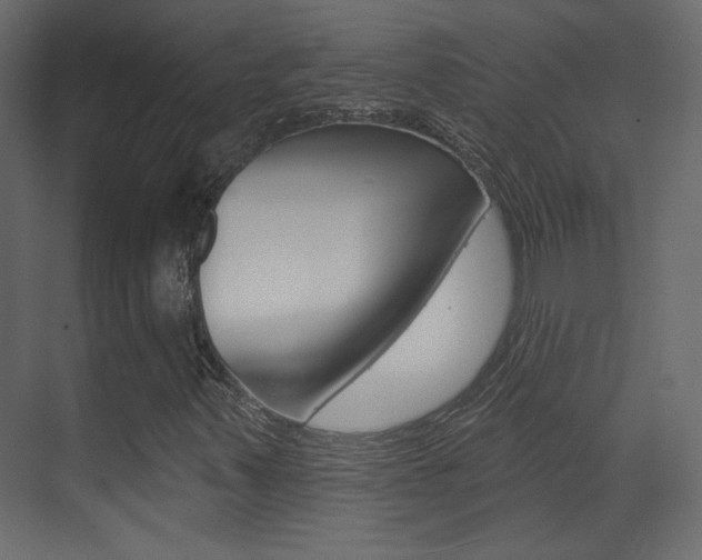 X0000070201347200605261025