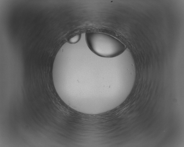 X0000070201348200605261025