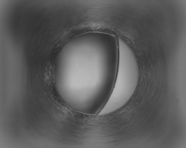X0000070201349200605261025