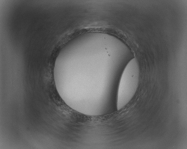 X0000070201350200605261025