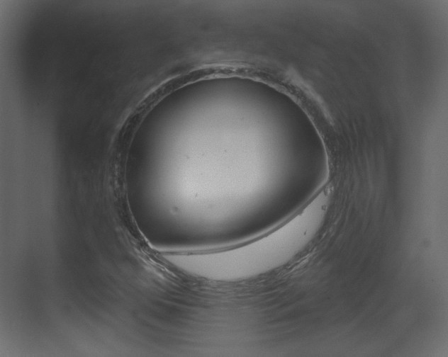 X0000070201352200605261025