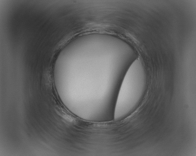 X0000070201354200605261025