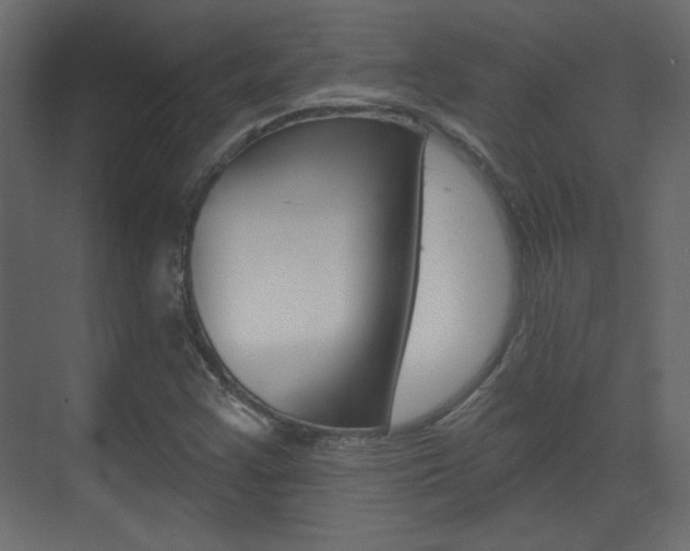 X0000070201355200605261025