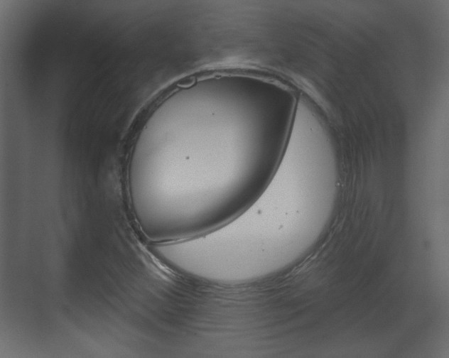 X0000070201356200605261025