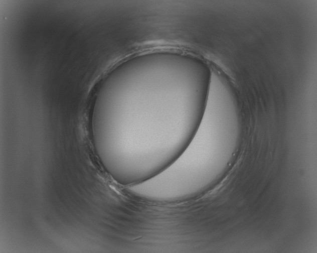 X0000070201357200605261025