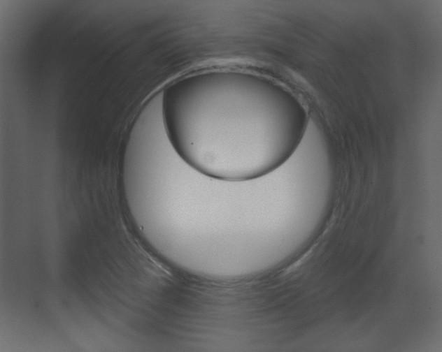 X0000070201361200605261025