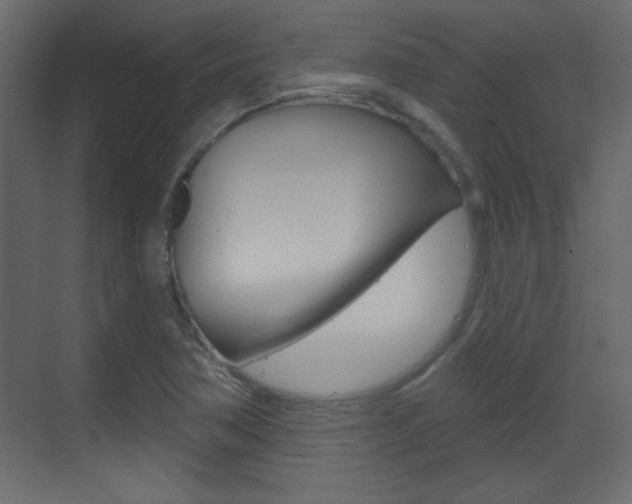 X0000070201362200605261025