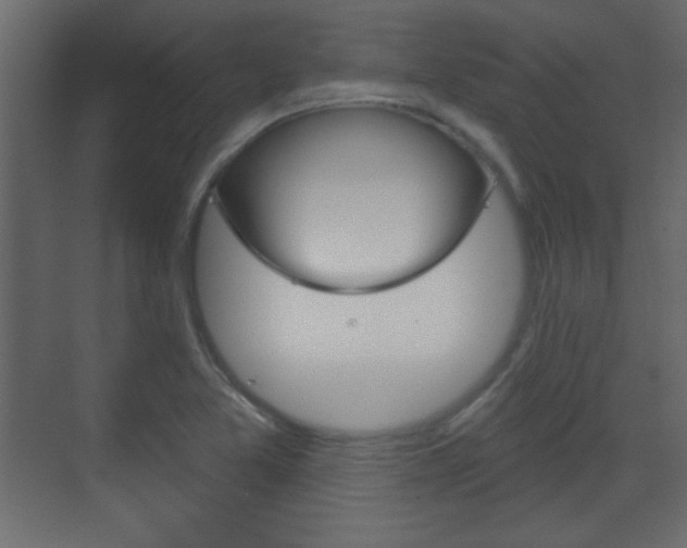 X0000070201365200605261025