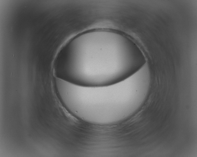 X0000070201366200605261025