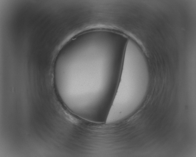 X0000070201367200605261025