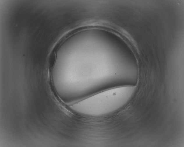 X0000070201368200605261025