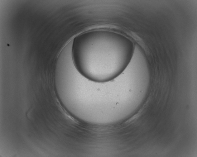 X0000070201369200605261025