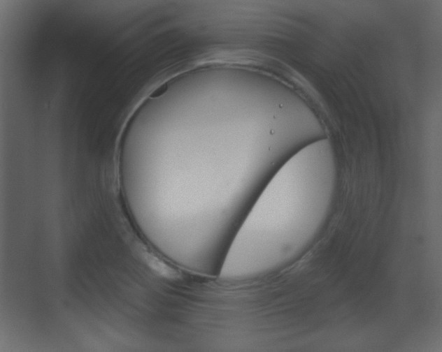 X0000070201370200605261025