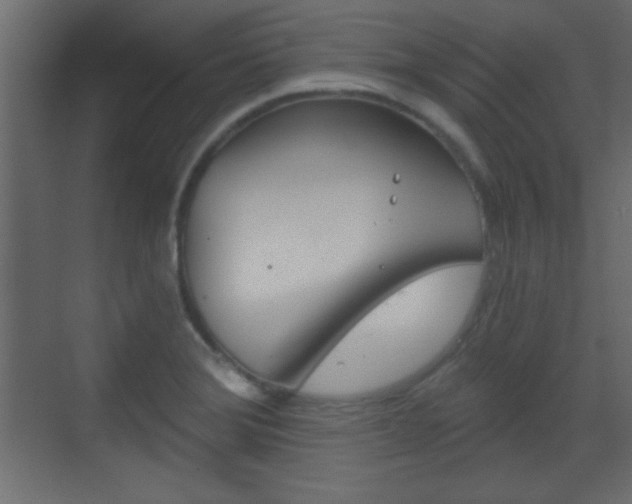 X0000070201372200605261025