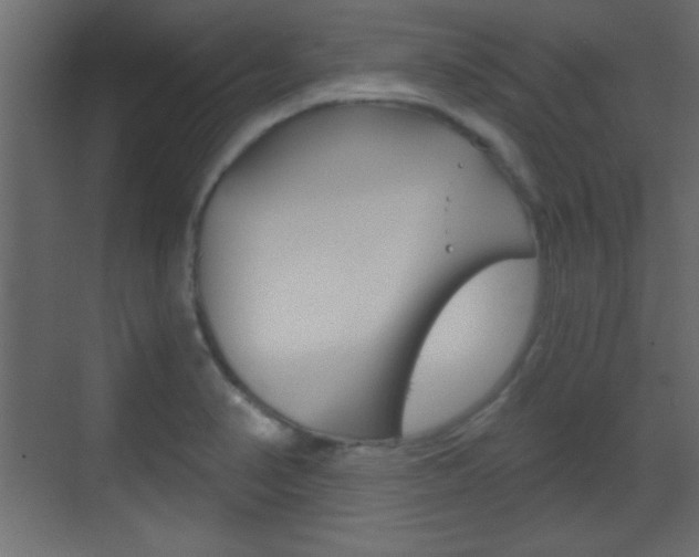 X0000070201374200605261025