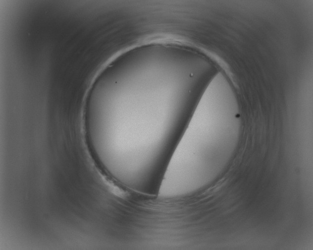 X0000070201375200605261025