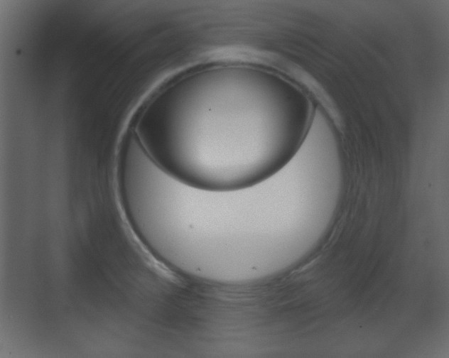 X0000070201376200605261025