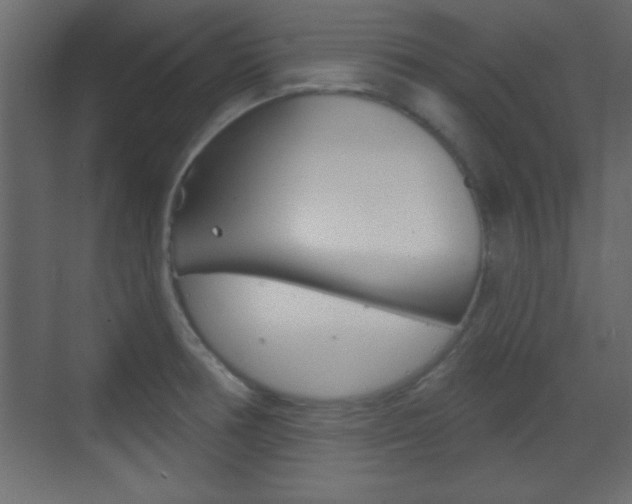 X0000070201378200605261025