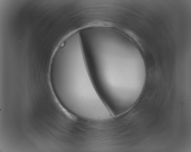 X0000070201379200605261025