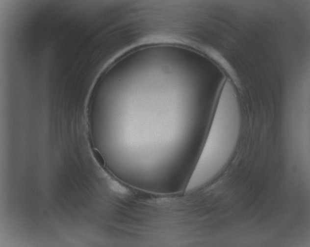 X0000070201380200605261025