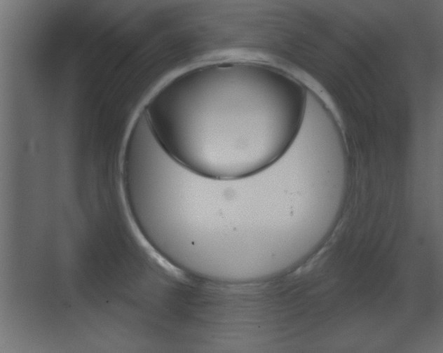 X0000070201381200605261025