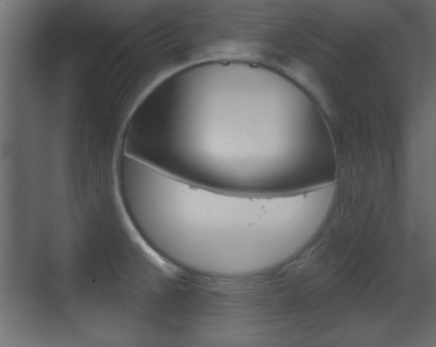 X0000070201383200605261025