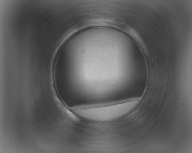 X0000070201384200605261025