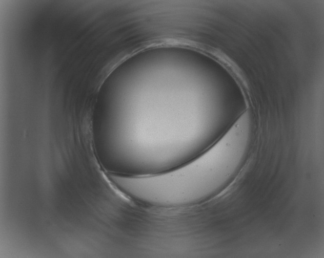 X0000070201385200605261025