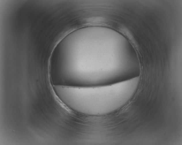 X0000070201386200605261025