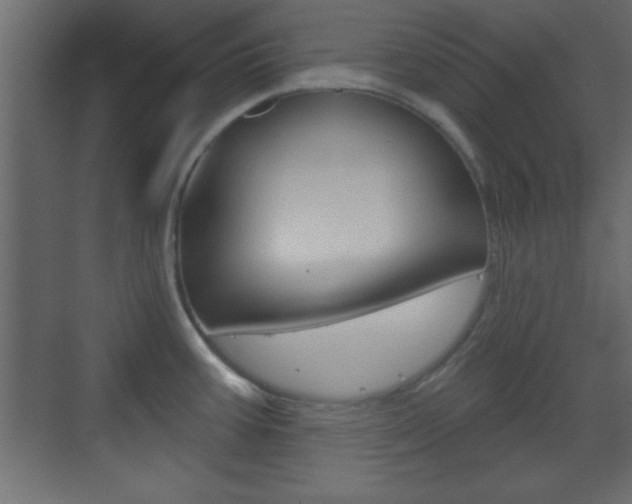 X0000070201387200605261025