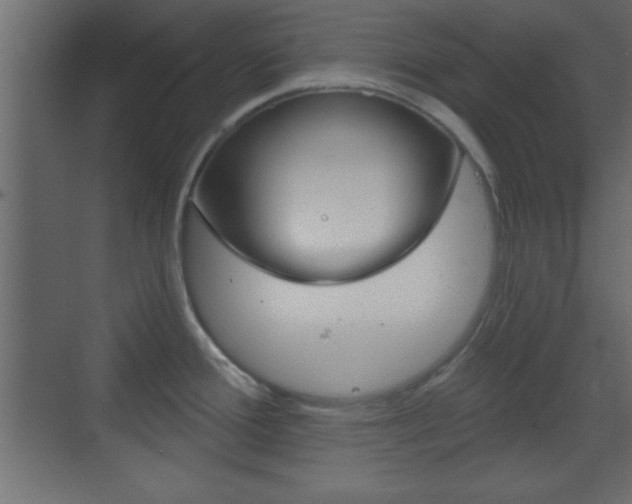 X0000070201388200605261025