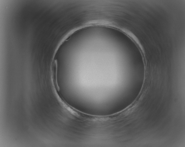 X0000070201389200605261025
