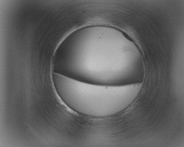 X0000070201390200605261025