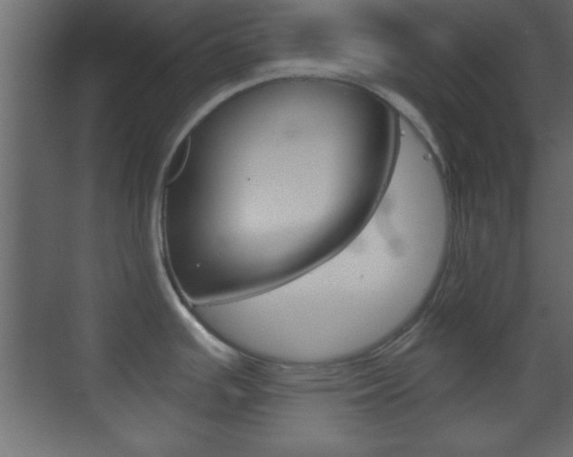 X0000070201391200605261025