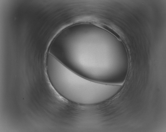 X0000070201392200605261024