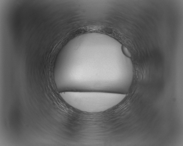 X0000070201393200605261024