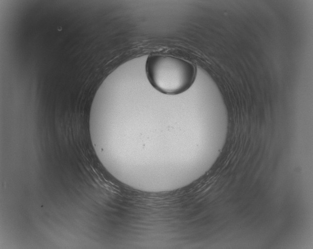 X0000070201394200605261024
