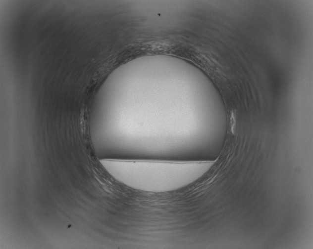 X0000070201395200605261024