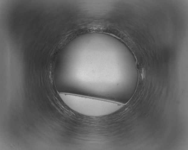 X0000070201396200605261024