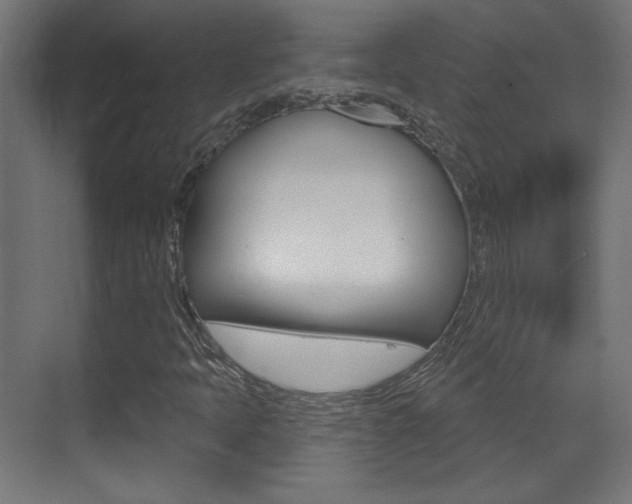 X0000070201397200605261024