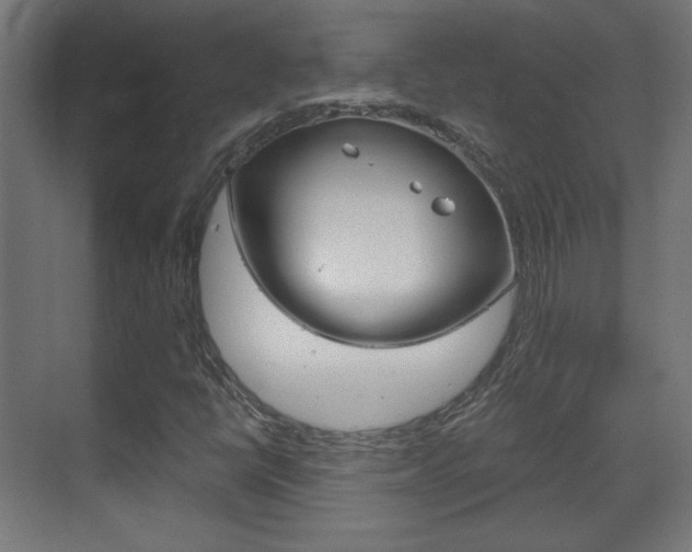 X0000070201398200605261024