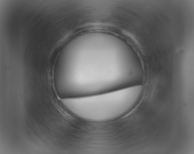 X0000070201403200605261024