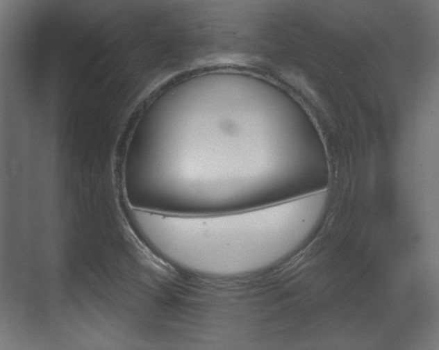 X0000070201404200605261024