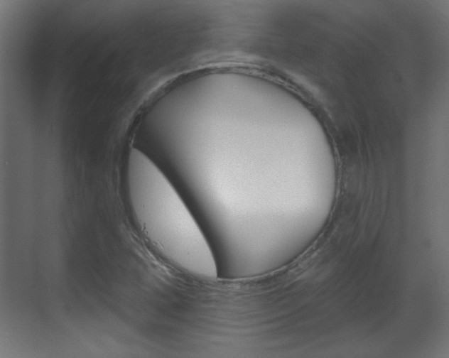 X0000070201407200605261024