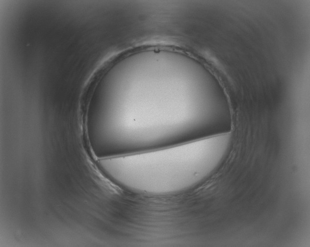 X0000070201408200605261024