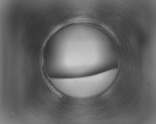 X0000070201413200605261024