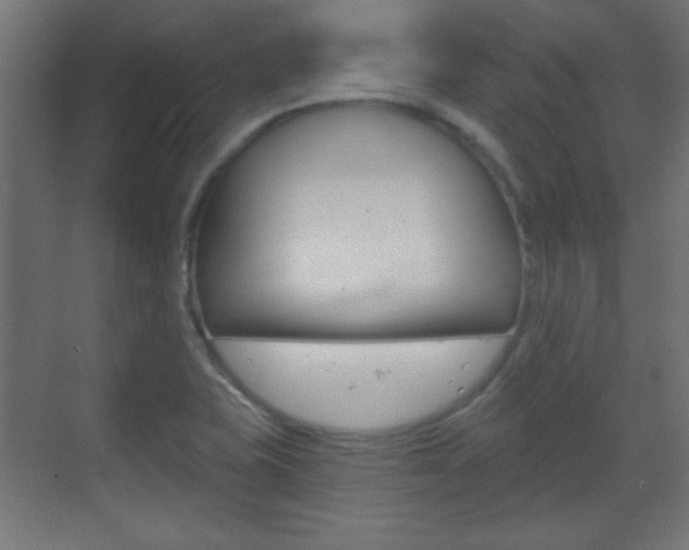 X0000070201415200605261024