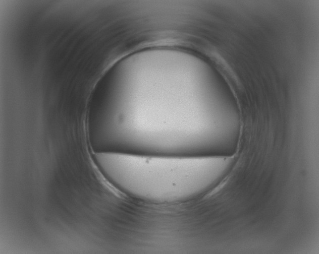 X0000070201417200605261024