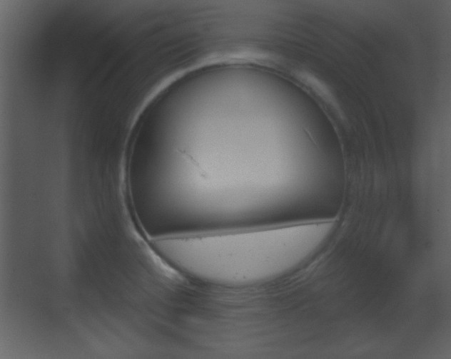 X0000070201420200605261024