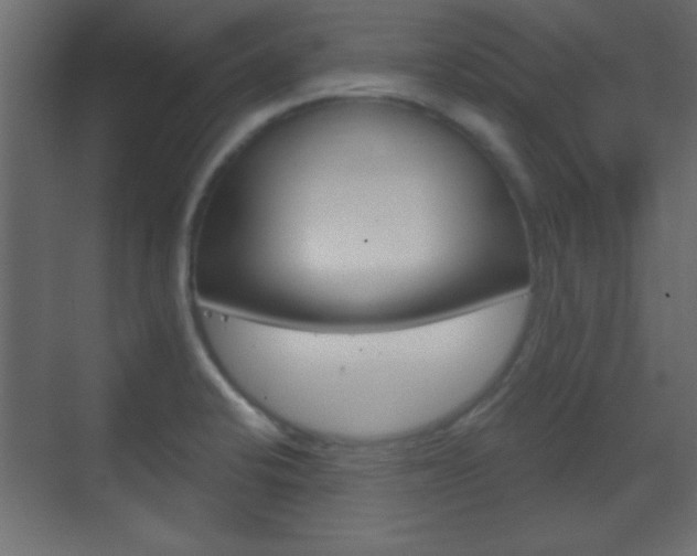 X0000070201424200605261024